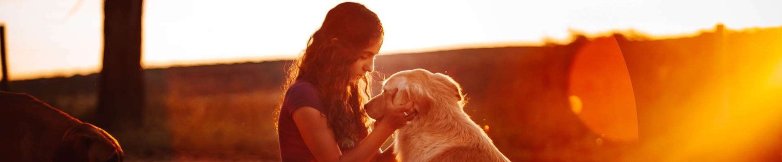 Pet insurance